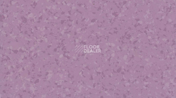 Линолеум Mipolam Symbioz 6048 LAVENDER фото 1 | FLOORDEALER